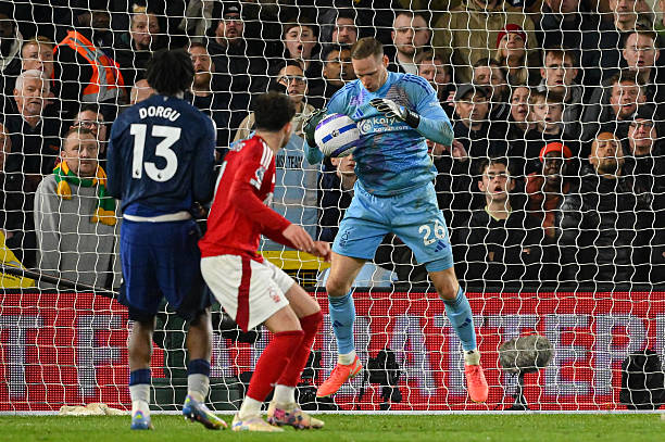 新星的加盟 新星的加盟