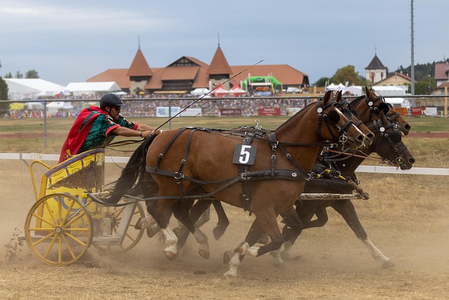 苏比门迪 苏比门迪