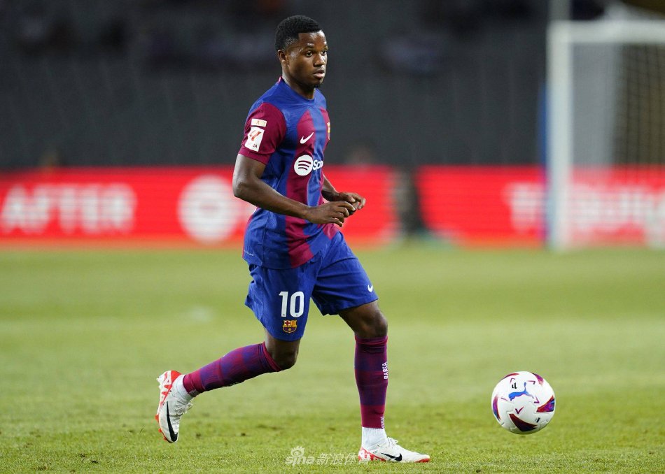 教练组在分 教练组在分